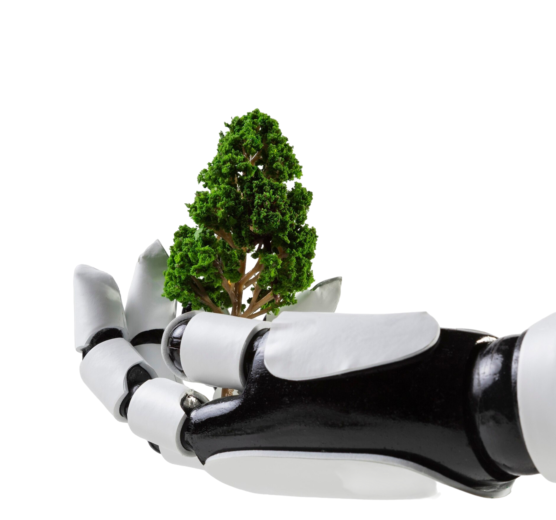 Climate Risk Management Platform